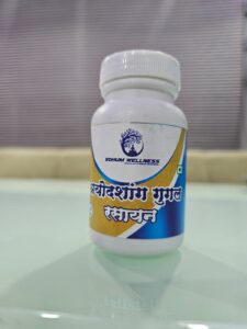 त्रयोदशांक गूगल